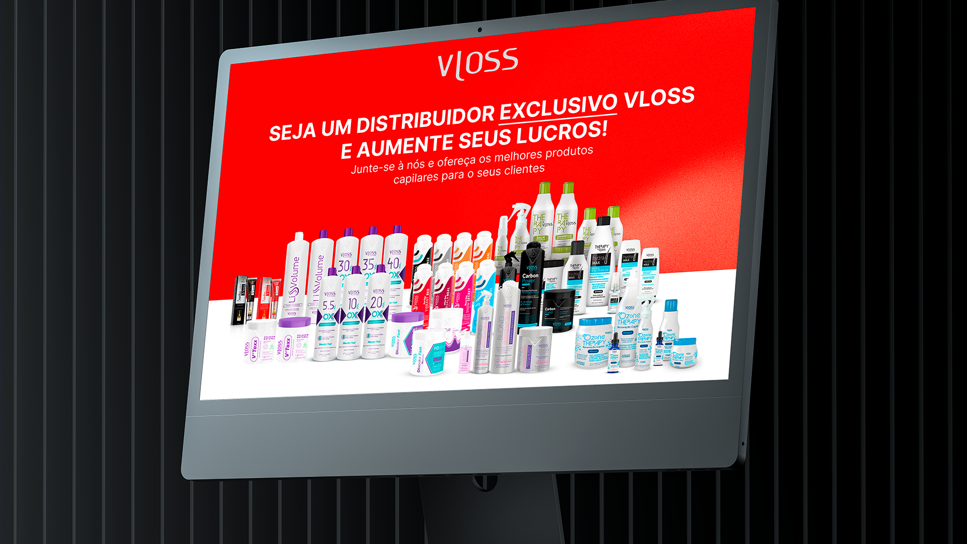 VLOSS COSMETICOS (2)